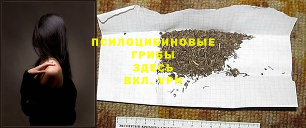apvp Абаза