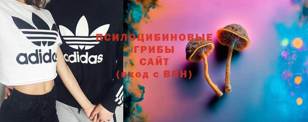 apvp Абаза